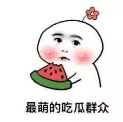 娱乐吃瓜小象小说,揭秘娱乐圈背后的秘密与笑料