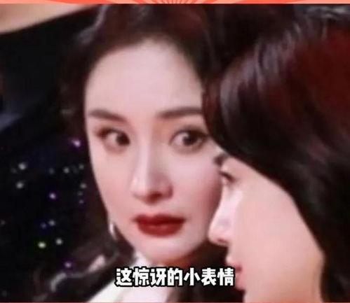 在哪里吃娱乐圈的瓜,揭秘各大热门餐厅的幕后故事
